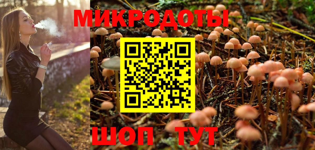 Псилоцибиновые грибы GOLDEN TEACHER  Вход с VPN  Ртищево 